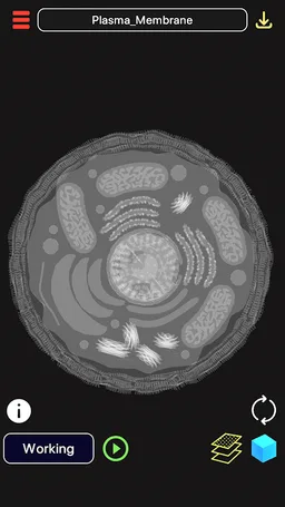 3D Biology + screenshot 2