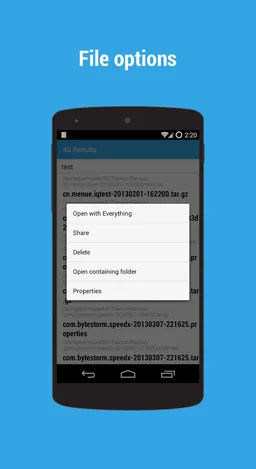 Search Everything screenshot 5