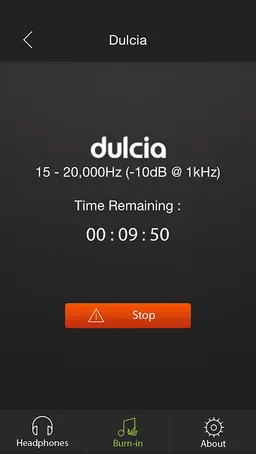 Burn-in Tool screenshot 4
