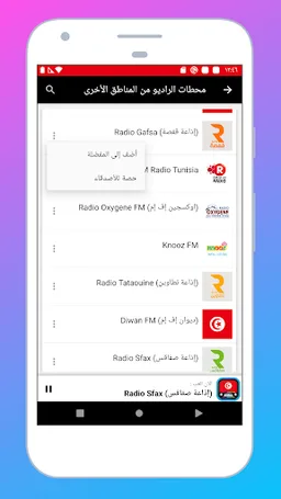 Radio Tunisia FM: Radio Online screenshot 14