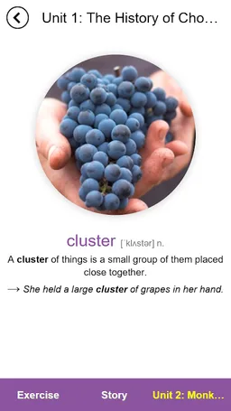 4000 Essential English Words 4 screenshot 14