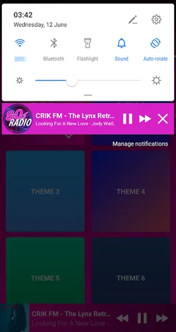 80's Radio screenshot 2