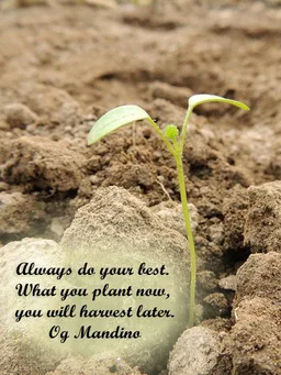 Inspiration Quotes & Pictures screenshot 1