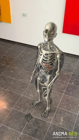 INSIGHT KIDNEY Enterprise screenshot 11