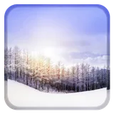 Snowy Winter icon