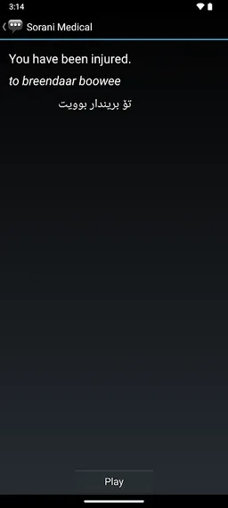 Sorani Medical Phrases screenshot 5