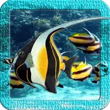 Angel Fish Live Wallpaper icon