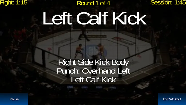 UFC Heavy Bag / Shadow Boxing Training Workouts screenshot 3