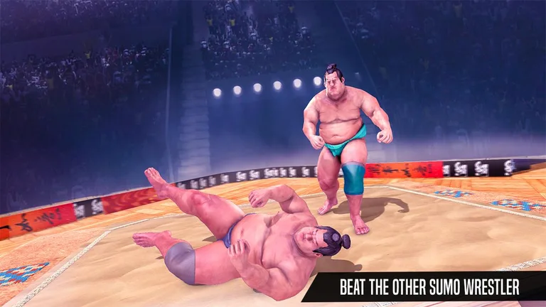 Sumo Wrestling Fight Arena screenshot 4