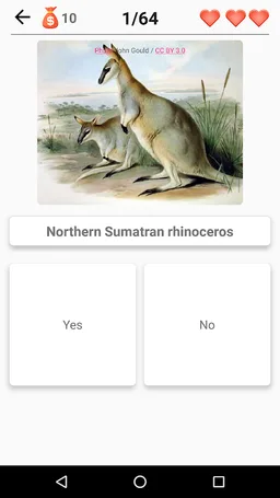 Extinct animals, endangered species! Rare animals screenshot 6