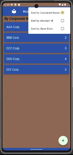 Accounts List screenshot 12