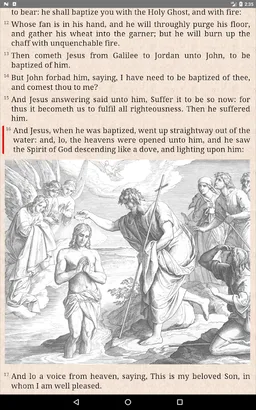 Bible: KJV, BBE, ASV, WEB, LSG screenshot 12