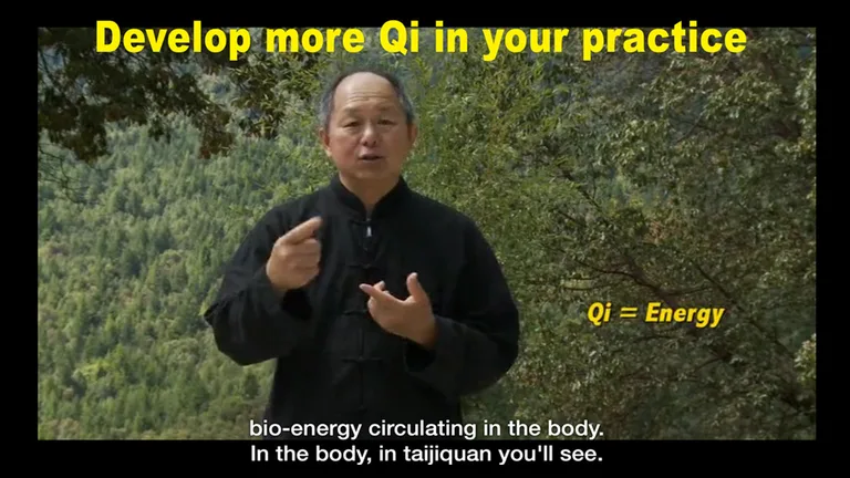 Yang Tai Chi for Beginners 1 b screenshot 15
