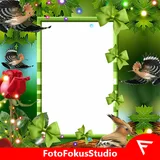 Hoopoe Insta DP icon