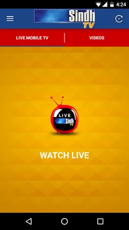 Sindh TV Network screenshot 6