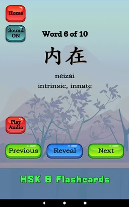 HSK 6 Chinese Flashcards screenshot 15