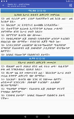 Amharic Bible Study with Audio screenshot 4