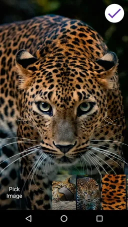 4K Leopard Lock Screen screenshot 2