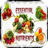Essential Nutrients icon