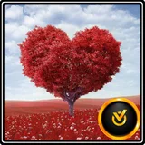 Mother's Day Greeting Cards icon