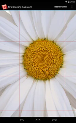 Grid Drawing Assistant screenshot 6