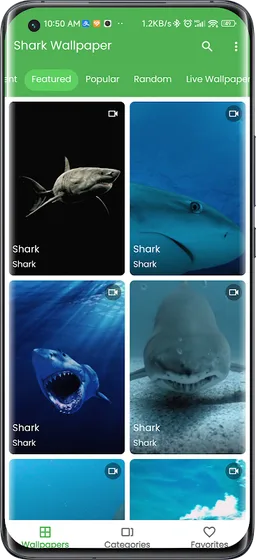 3D Shark in the Live Wallpaper screenshot 5