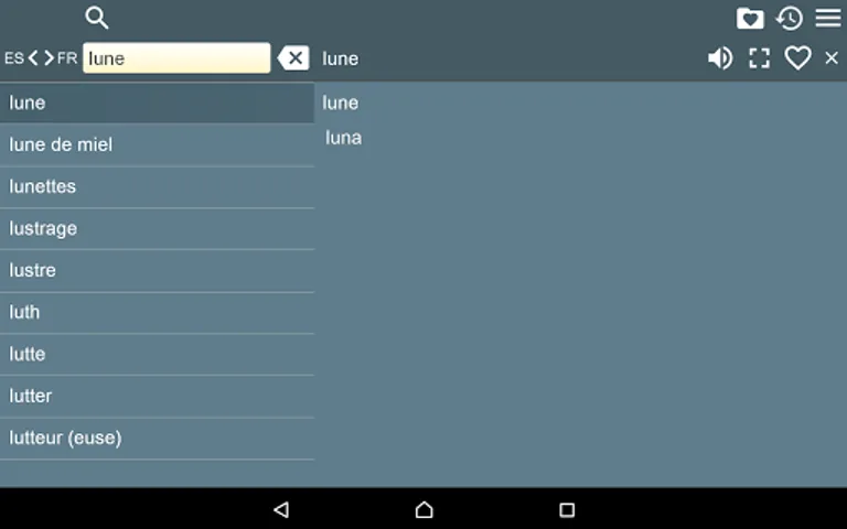 Spanish French Dictionary screenshot 4