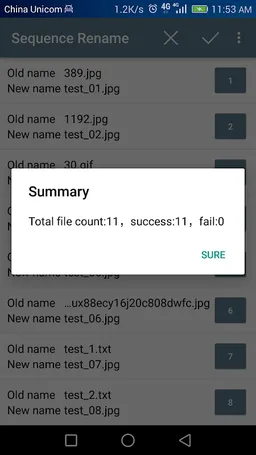 Batch Rename screenshot 4