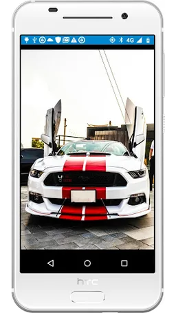 Accident Report screenshot 4