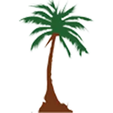 Abul Hasan Ali Nadwi icon