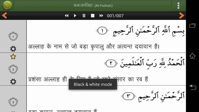 Quran Hindi Advanced (हिन्दी कुरान) screenshot 14