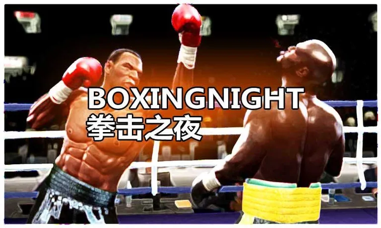 Boxing Night 3D screenshot 5