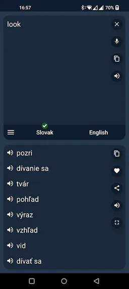 Slovak - English Translator screenshot 2