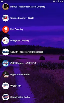 True Country Music - Radios screenshot 4