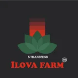 Ilova Farm icon