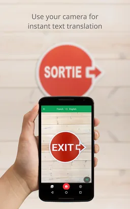 Google Translate screenshot 12