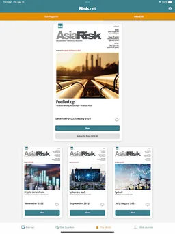 Risk.net screenshot 15