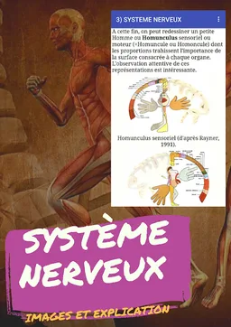 radio-anatomie"scanner cérébral" screenshot 2