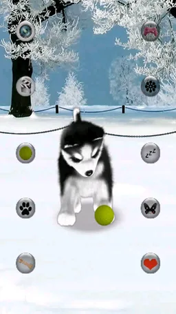 Talking Husky screenshot 4